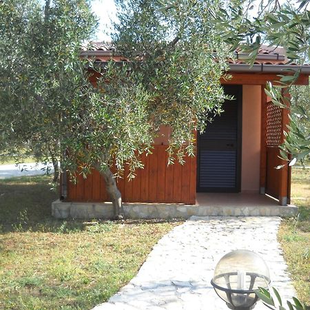 Santa Maria Villaggio Turistico Vieste Kültér fotó